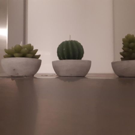 Apartament Ca Rossi City House La Spezia Zewnętrze zdjęcie